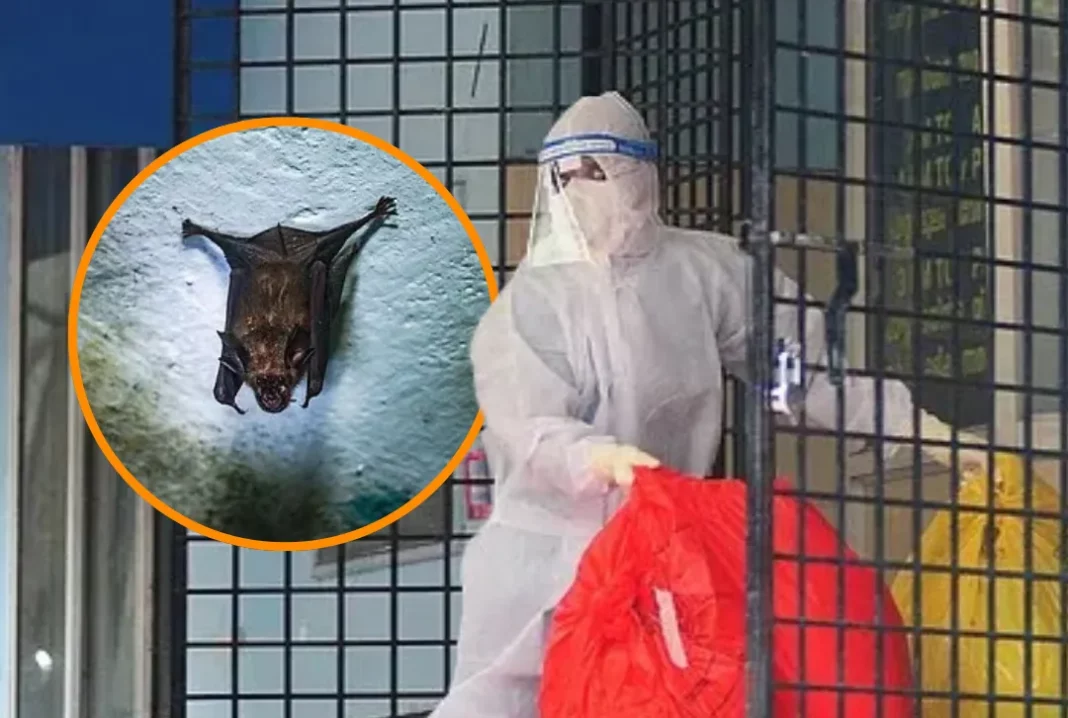 Nipah