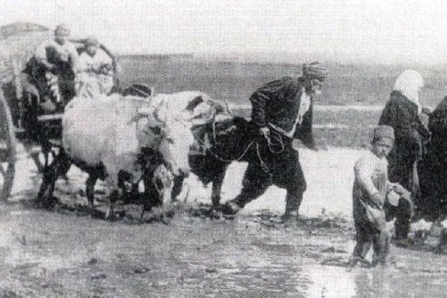 eksodi-shqiptareve-kosove-maqedoni-turqi