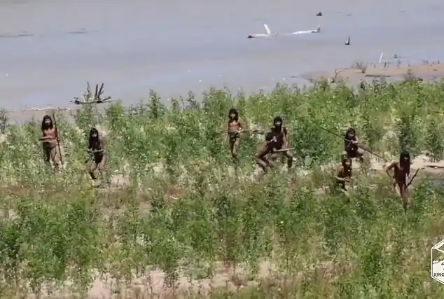 indigjenet-amazone-analize-kercenimi