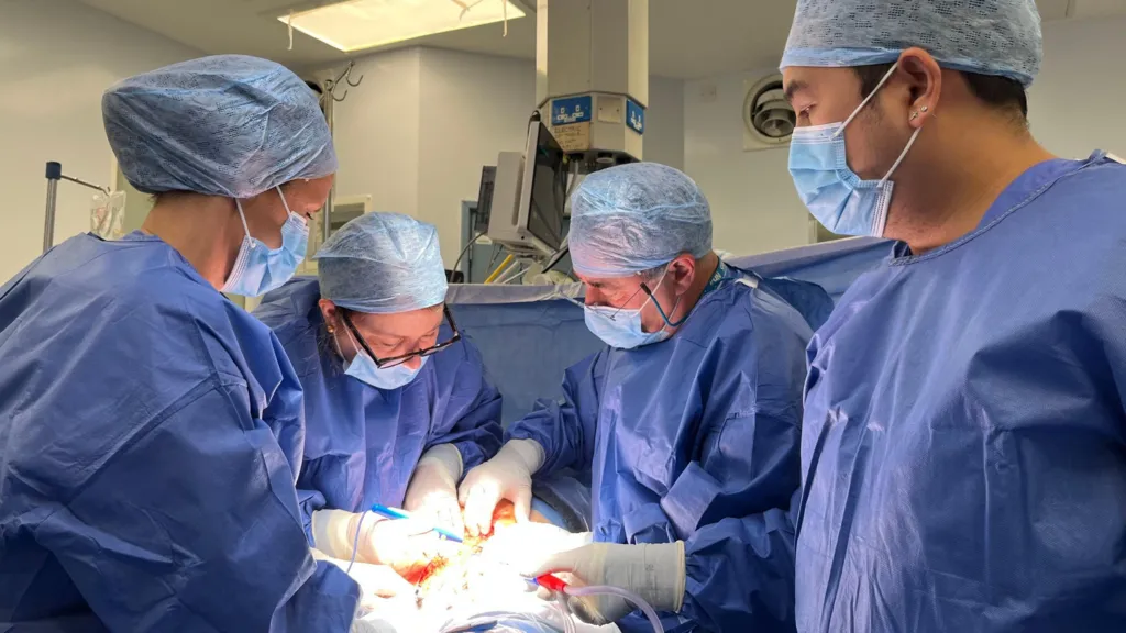 Ekipi_kirurgjikal_transplant